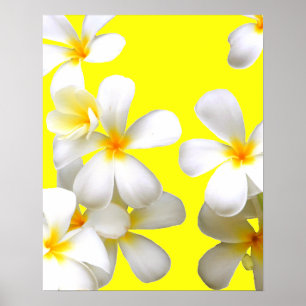 Gult av hawaiisk vit plumeriablomma poster