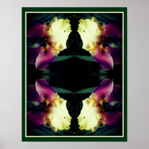 Gult Bearded Iris Flower Abstrakt Poster