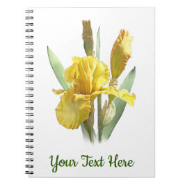 Gult Bearded Iris Flower Anteckningsbok