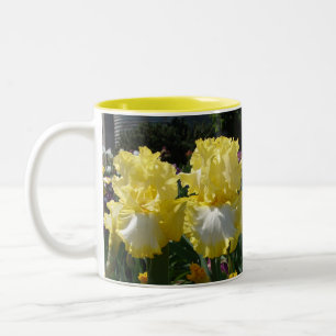 Gult Beared Iris Irises Flowers blommigt Två-Tonad Mugg
