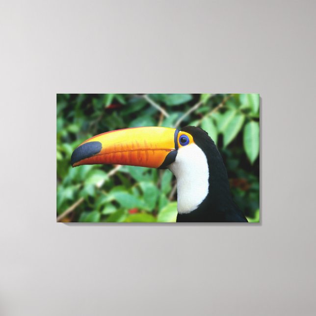 Gult Beed Toucan Canvastryck (Framsida)