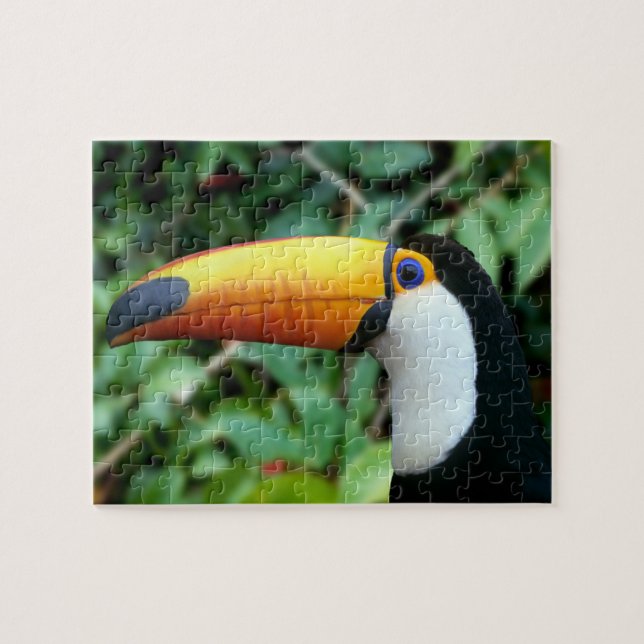 Gult Beed Toucan Pussel (Horisontell)