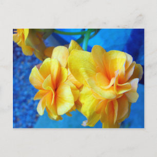 Gult Begonias Vykort
