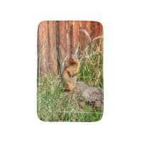 Gult-belliderad Marmot av ett Barn Wildlife-foto