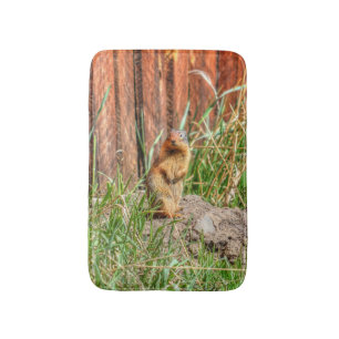Gult-belliderad Marmot av ett Barn Wildlife-foto Badrumsmatta