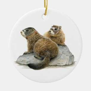 Gult-bellig marmots Ceramic Ornament