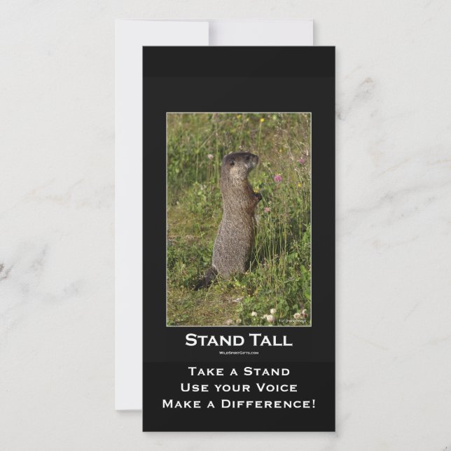 Gult-Belllied Marmot Card (Framsida)