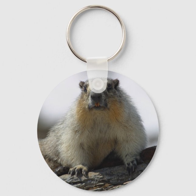 Gult Belllied Marmot Nyckelring (Framsida)