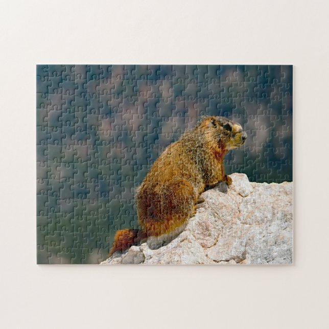 Gult Belllied Marmot Utah. Pussel (Horisontell)