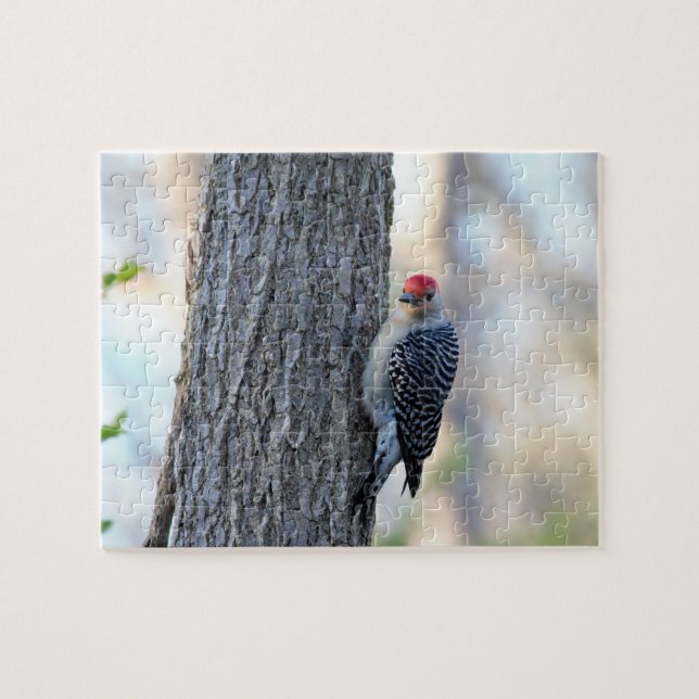 Gult Belllied Woodpecker Puzzle Pussel (Horisontell)