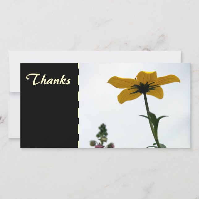 Gult Bidens Floral Photography Tack Photo C (Framsida)