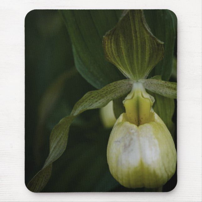 Gult - bildskärm 2, muspekare musmatta (Framsidan)