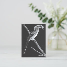 Gult Billed Hornbill, Kalahari Animal Bookmark Anteckningskort