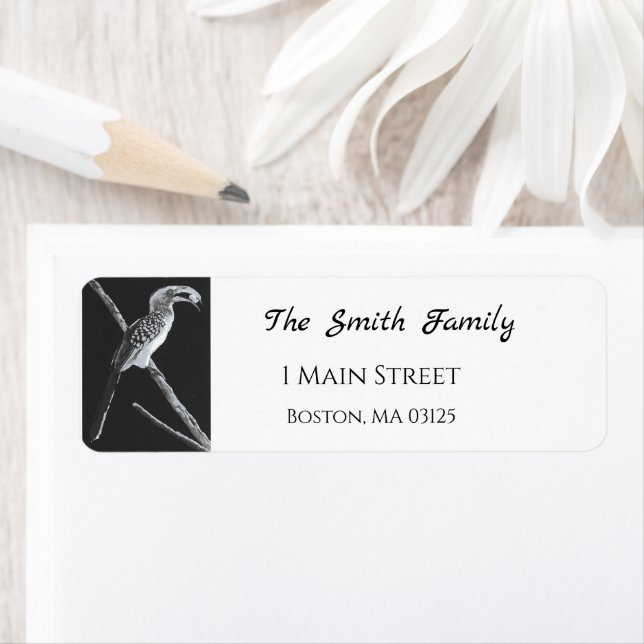 Gult Billed Hornbill, Kalahari Animal Returadress Etikett (Insitu)