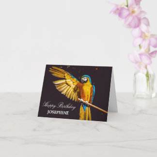 Gult Bird Wildlife Söt Macaw Kort