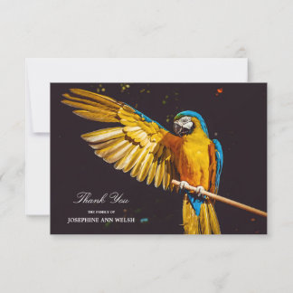 Gult Bird Wildlife Söt Macaw Tack Kort