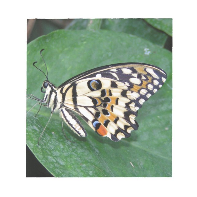 Gult Black and White Butterfly på Löv Anteckningsblock (Framsida)