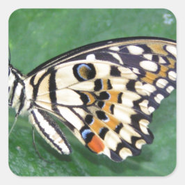 Gult Black and White Butterfly på Löv Fyrkantigt Klistermärke