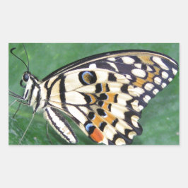 Gult Black and White Butterfly på Löv Rektangulärt Klistermärke