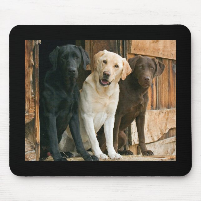 Gult, Black, Brown Labrador Retriever Mousepad Musmatta (Framsidan)