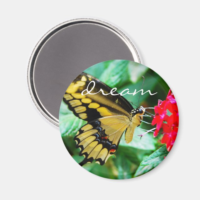 Gult Black butterfly-fotodrömcitattecken Magnet (Front/Back)