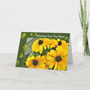 Gult Black Eyed Susan Blooms Kort