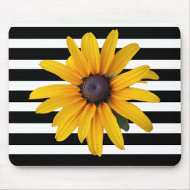 Gult Black-Eyed Susan Photo Black Rand Musmatta