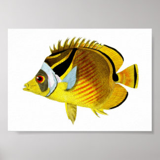 Gult Black Tropical Fish Art Skriv ut nr 4 Poster