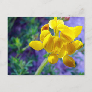 Gult blomma 2 vykort