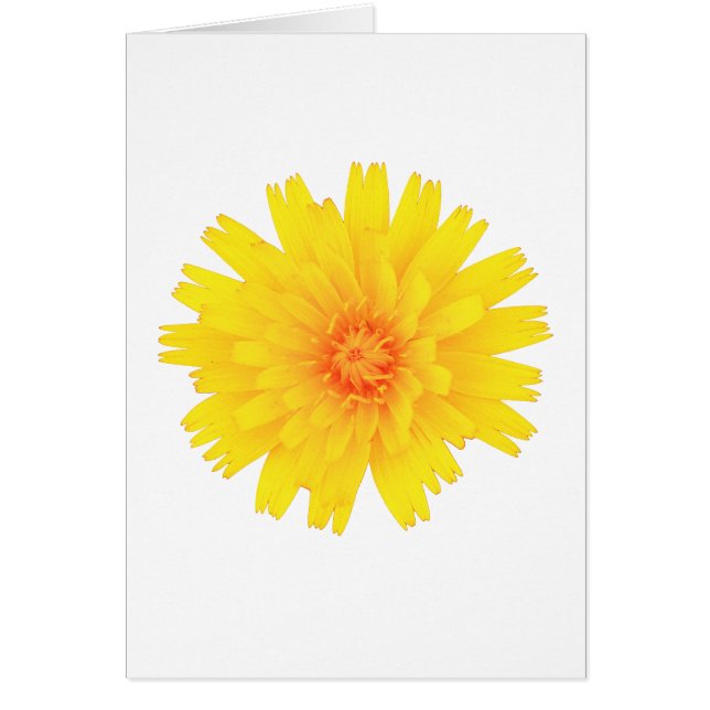 Gult blomma hälsningskort (Framsidan)