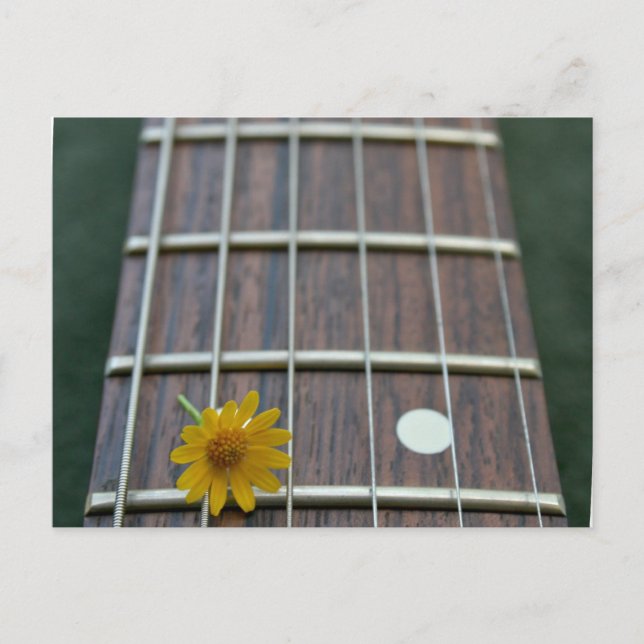 Gult blomma på friska gitarr nacke vykort (Framsida)