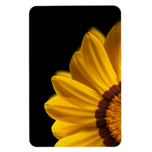 Gult blomma på svart bakgrund magnet