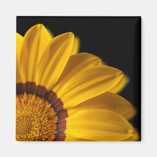 Gult blomma på svart bakgrund magnet