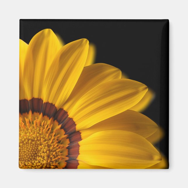Gult blomma på svart bakgrund magnet (Framsidan)