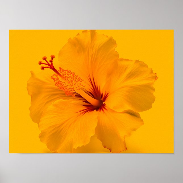 Gult blomma poster (Framsidan)
