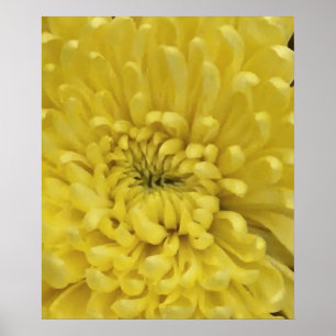 Gult blomma poster