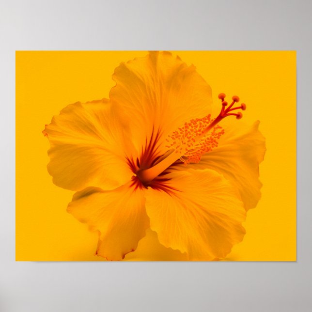 Gult blomma poster (Framsidan)