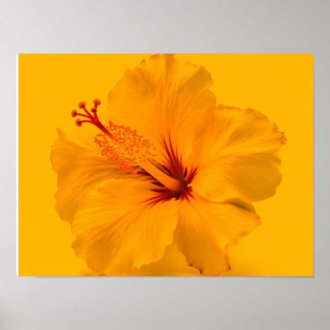Gult blomma poster (Framsidan)