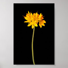 Gult blomma poster