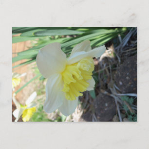 Gult blomma vykort