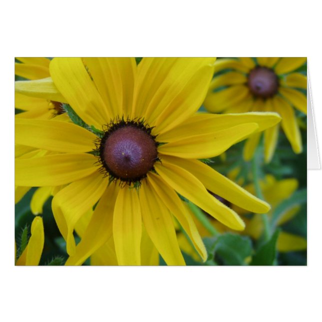 Gult blommakort hälsningskort (Framsidan Horizontal)