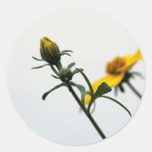Gult blommar modern Stcker Runt Klistermärke