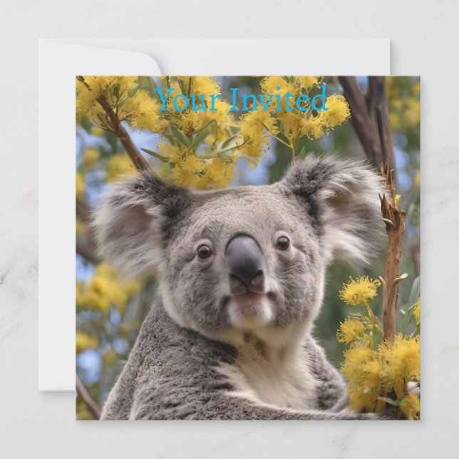 Gult Blommar Wattle Träd with a Koala Inbjudningar (Framsida)