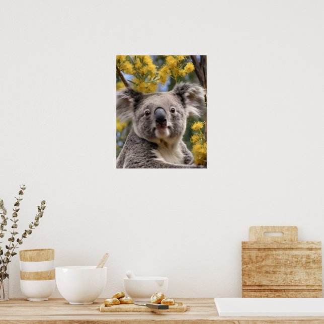 Gult Blommar Wattle Träd with a Koala Poster (Kök)