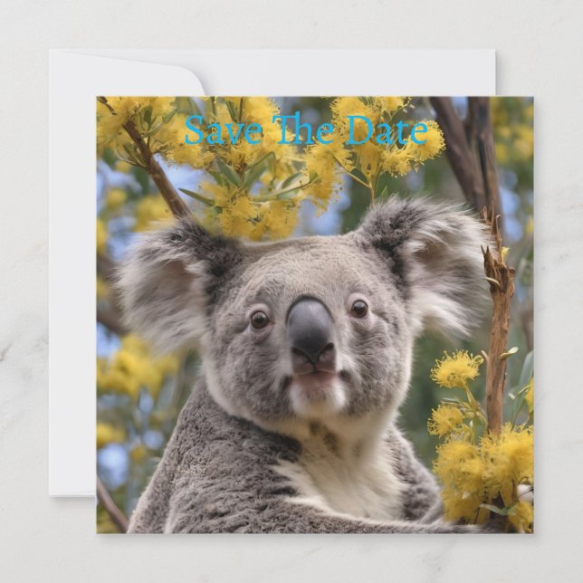 Gult Blommar Wattle Träd with a Koala Spara Datumet (Framsida)