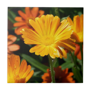 Gult Blommars Flowers Art Peace Kärlek Destiny Kakelplatta