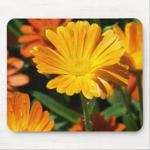 Gult Blommars Flowers Art Peace Kärlek Destiny Musmatta