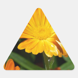 Gult Blommars Flowers Art Peace Kärlek Destiny Triangelformat Klistermärke