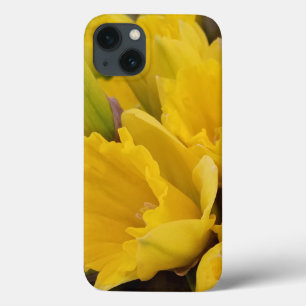 Gult Blommigt Daffodil Flowers
