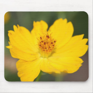 Gult Blommigt Mousepad Musmatta